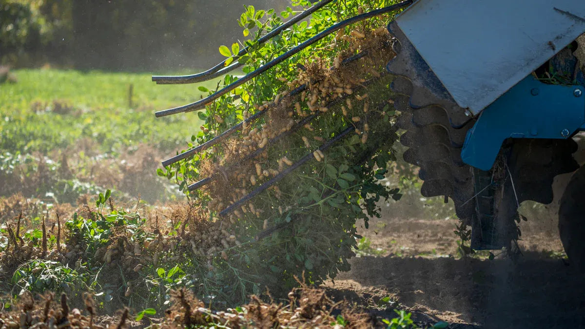 How to Identify the Best Situations for Using a Flail Mower
