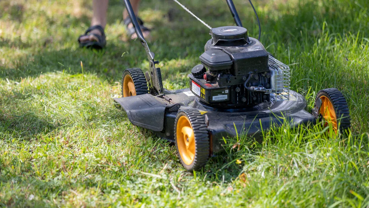 Summer Brush Clearing